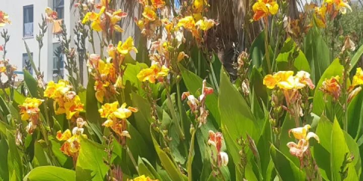 Ermida de Santo Antonio