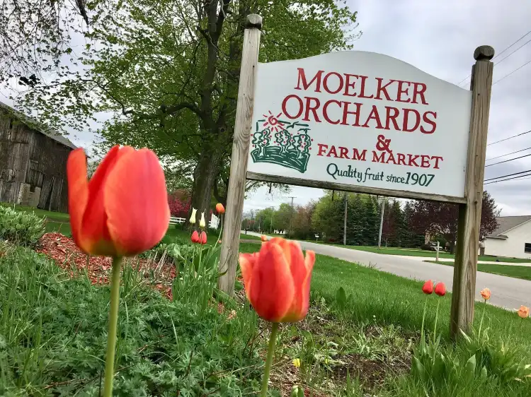 Hôtels à : Tallmadge Township