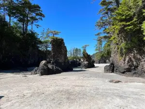 샌 조셉 베이