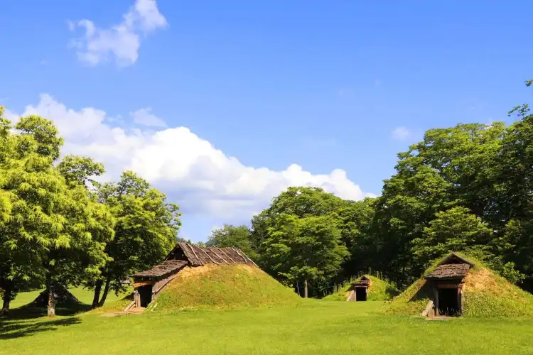 Hotels in Ichinohe
