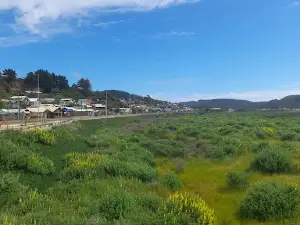 Costanera Park