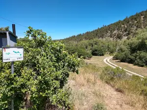 Two Gray Hares Disc Golf Course