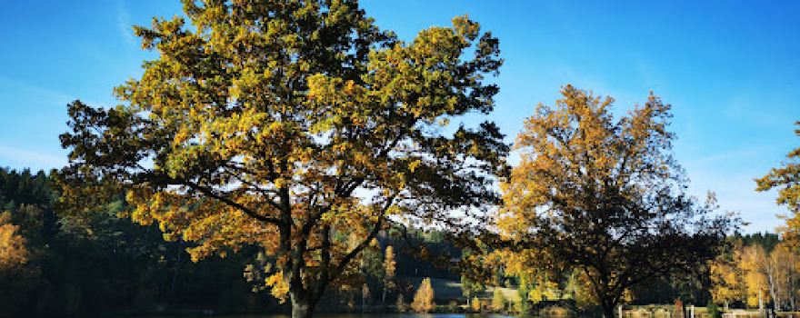 Herrensee Strandbad