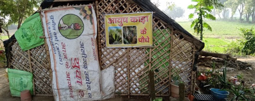 Gabhana Nursery and Organic Farm