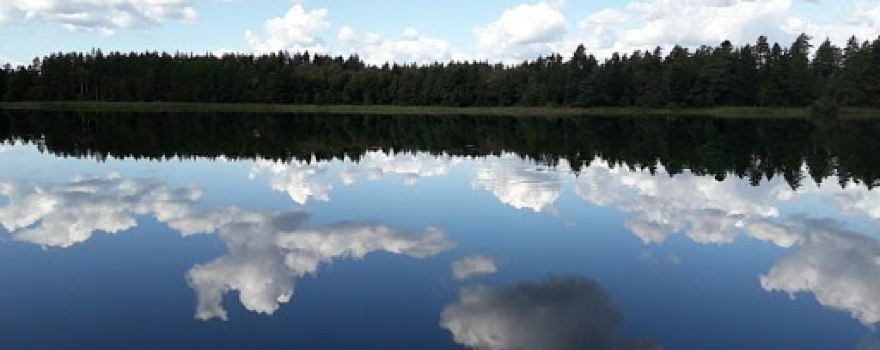 Skåle Klint