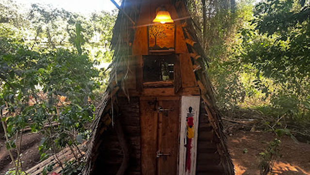 kingstone asilia and coffee tour