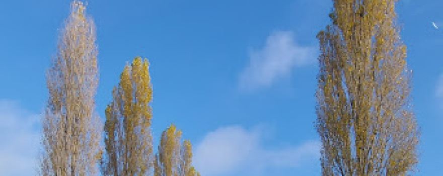 Turbek puszta