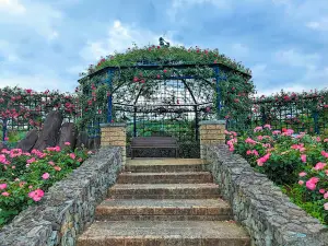Rose Garden