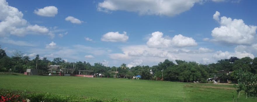 Santa Úrsula