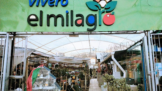 Vivero El Milagro