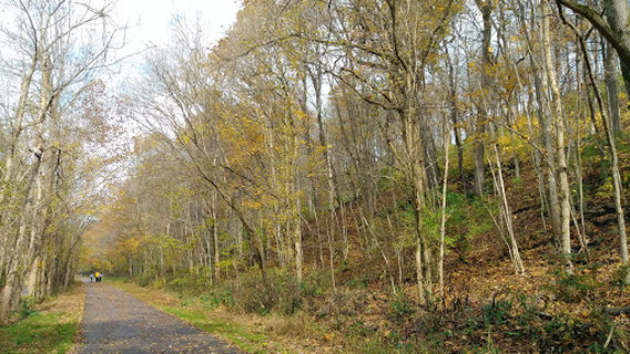 Kiwanis Park