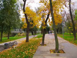 Парк имени Юрия Гагарина