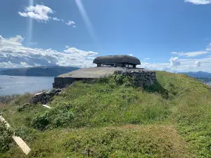 Vettan