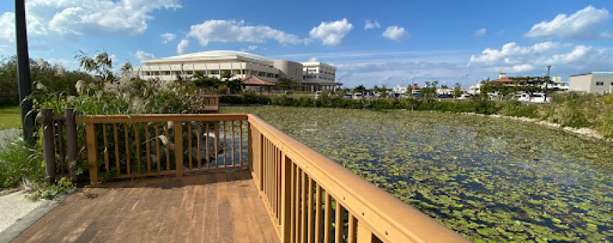 Toyosaki Seaside Park