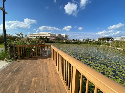 Toyosaki Seaside Park