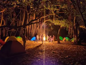 Banyan Tree of Debhata, Satkhira