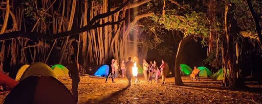 Banyan Tree of Debhata, Satkhira