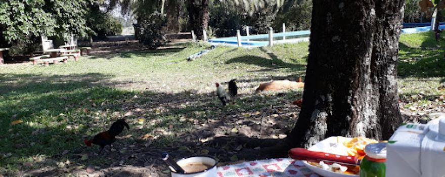 Los Torrejones Camping