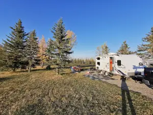 Stavely Elks Pine Coulee Park