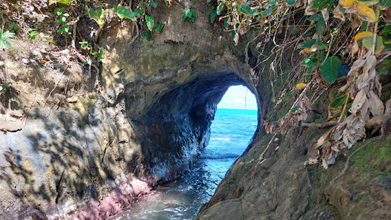 Cueva Punta Uva