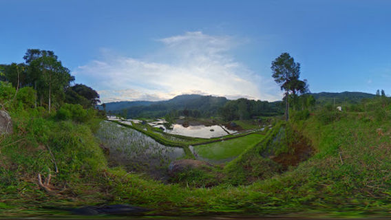 Turunan Pua