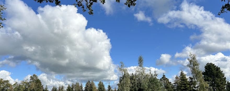 Landschapscamping Sparrenhof