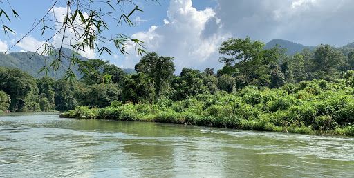 Rafting Kithulgala Paddle Sri Lanka Adventure