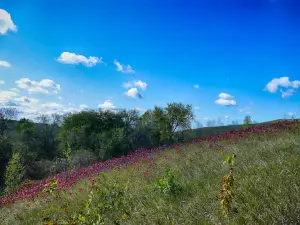 Lake Brophy County Park