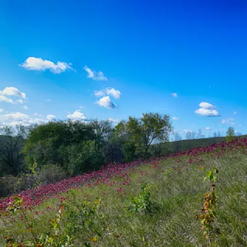 Lake Brophy County Park