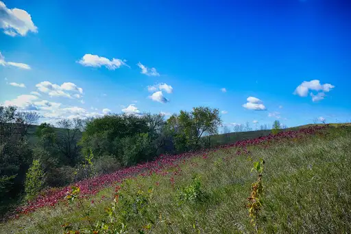 Lake Brophy County Park