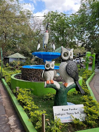 Thomas Belt Zoo