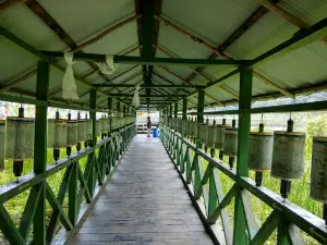 View Point at Khecheopalri Lake