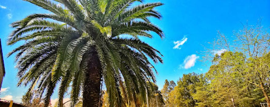 Harris Creek Reserve