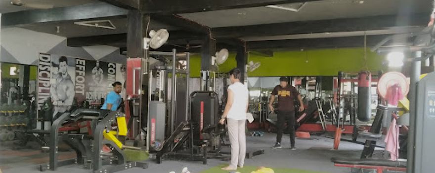 The Gym Hercules