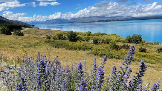 Tapataia Mahaka Peter's Lookout (Lake Pukaki Viewpoint) (Mount Cook Road)