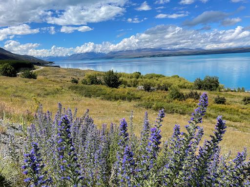 Tapataia Mahaka Peter's Lookout (Lake Pukaki Viewpoint) (Mount Cook Road)