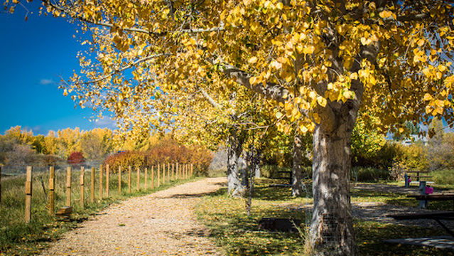 Village of Carbon - East Campground & Cabins