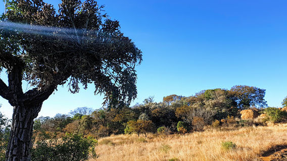 Johannesburg South