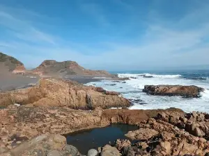 Playa Buchupureo