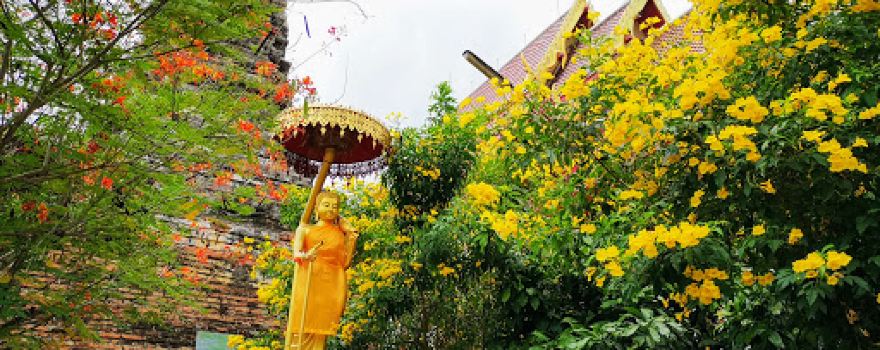 Wat Muang