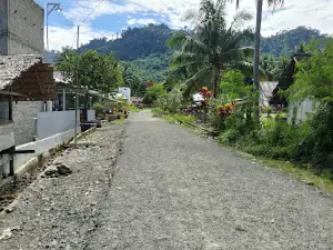 Masjid Desa Simanisi 2