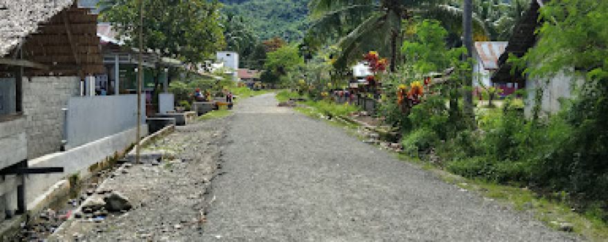 Masjid Desa Simanisi 2