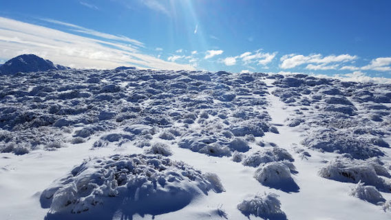 Hanmer Springs