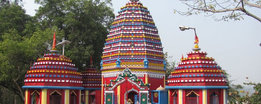 Shanichar Pura Durga Mandir Chicholi