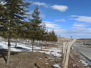 Bülent Ecevit Ağaçlandırma Parkı