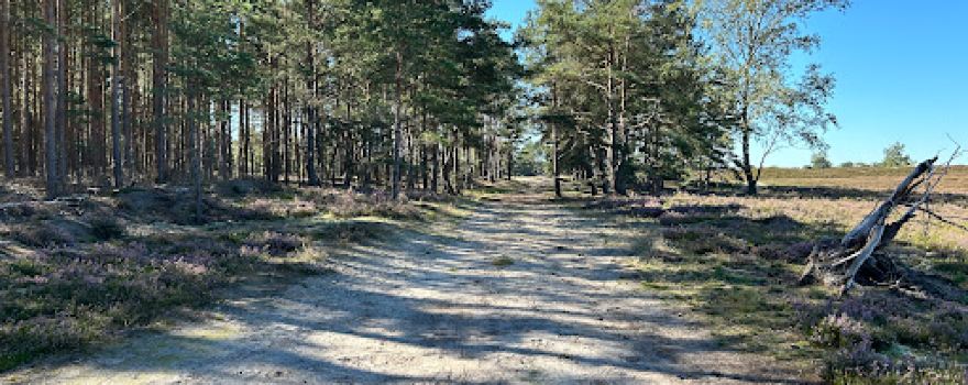 Nemitzer Heide
