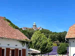 Pannonhalmi levendulás és gyógynövénykert