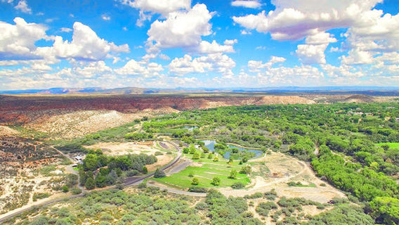 Trail Horse Adventure