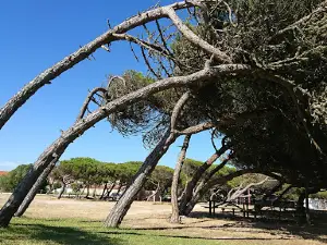 Parque de Merendas da Cova da Gala