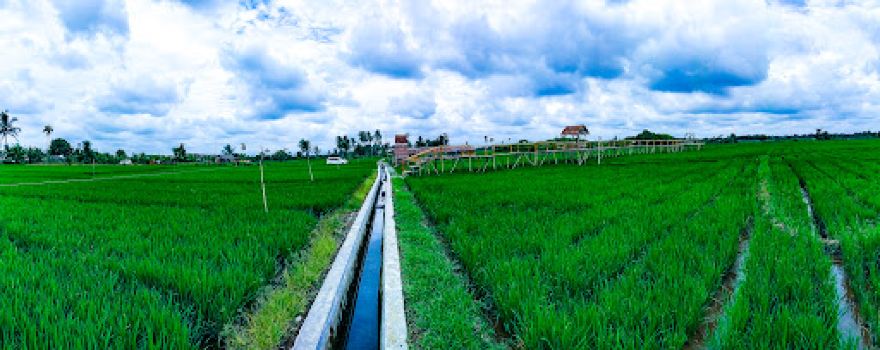 Saung Bidadari Hijau